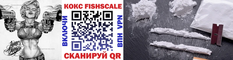 Кокаин FishScale  мега   Нижневартовск 