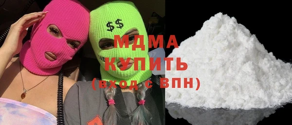 мдпв Ельня