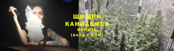 мдпв Ельня