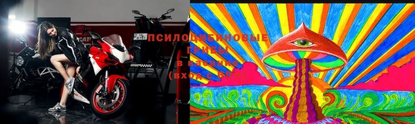трава Елизово