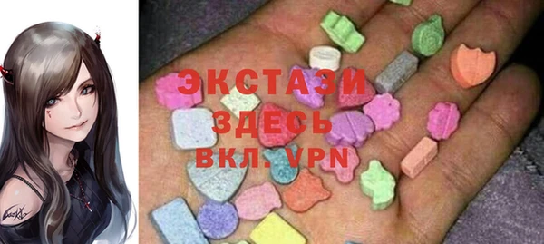 мдпв Ельня